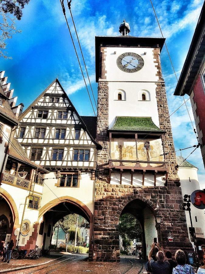 Historical Luxury Homes - Stadtvilla Mit Jacuzzi Und Garten Freiburg im Breisgau Exteriér fotografie